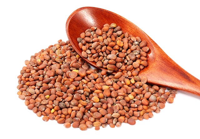 خواص دانه تربچه