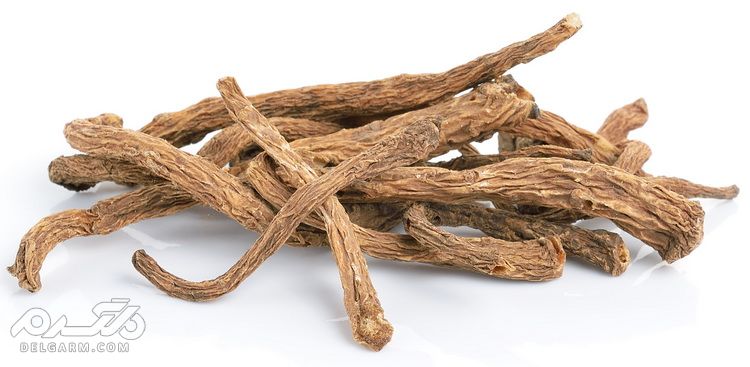 سقط جنین با ریشه آنجلیکا,ریشه آنجلیکا