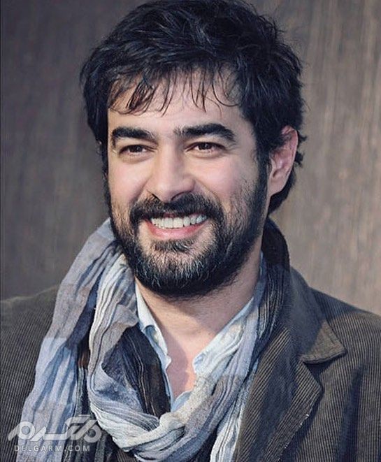 شهاب حسینی