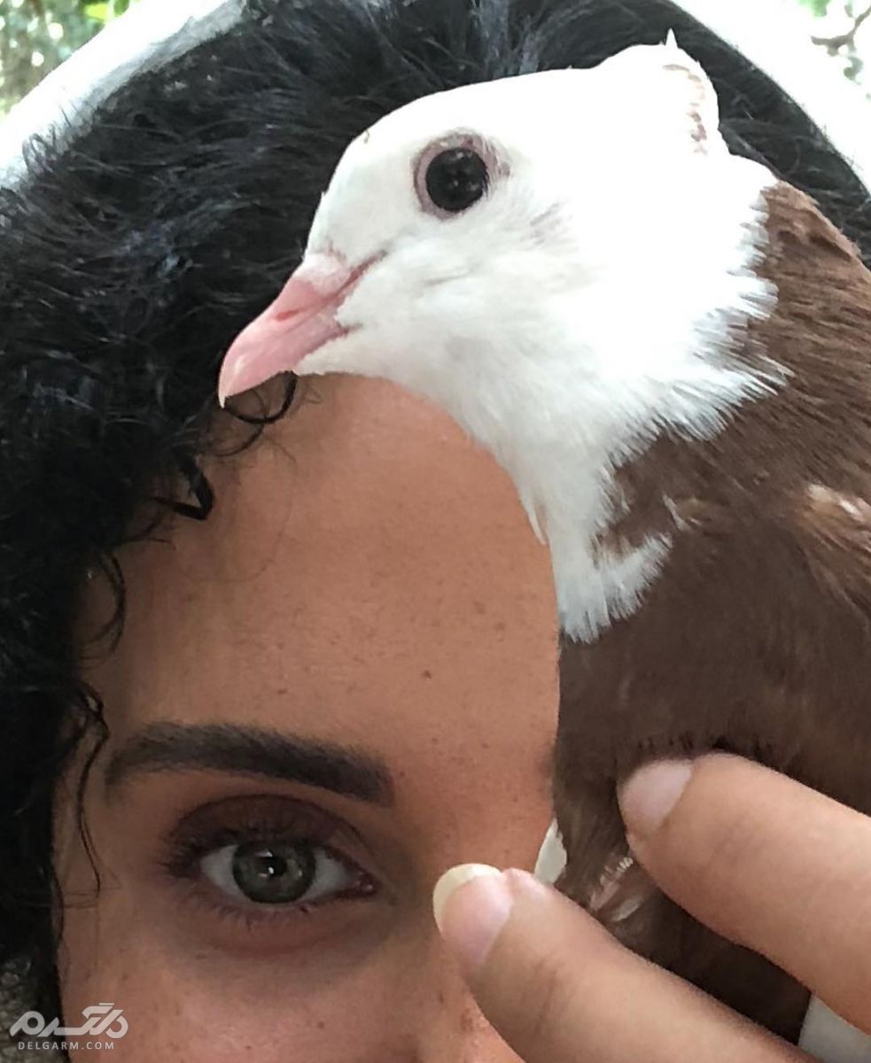 سلفی جدید الناز شاکردوست یا طوقی اقبال