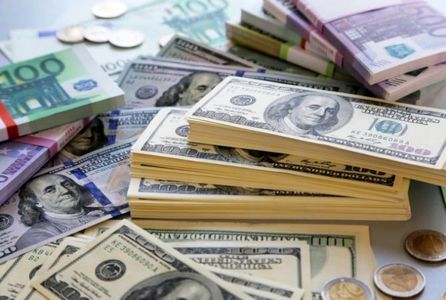 فعالان مناطق آزاد از سامانه نیما ارز دریافت میکنند/ اولویتهای واردات تعیین شد