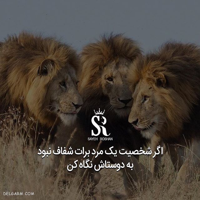 عکس نوشته ی انگیزشی