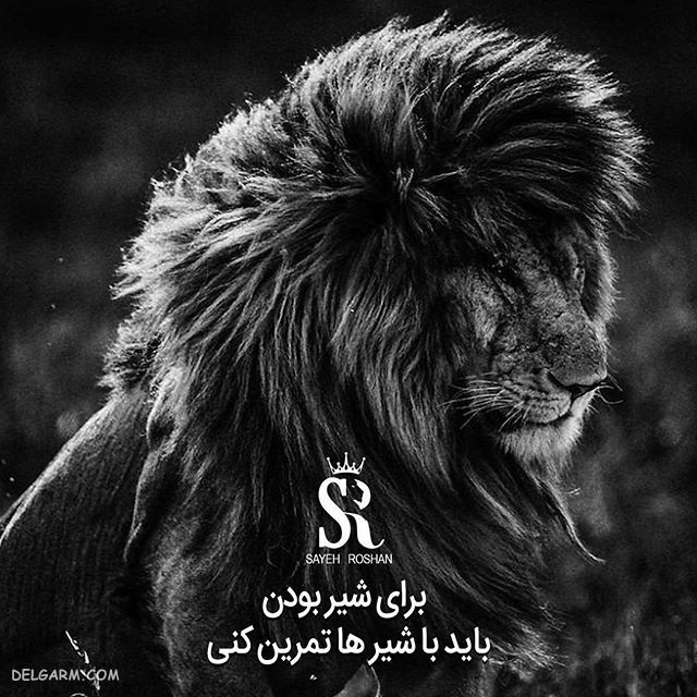 عکس نوشته ی انگیزشی