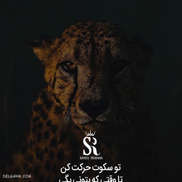 عکس نوشته ی انگیزشی