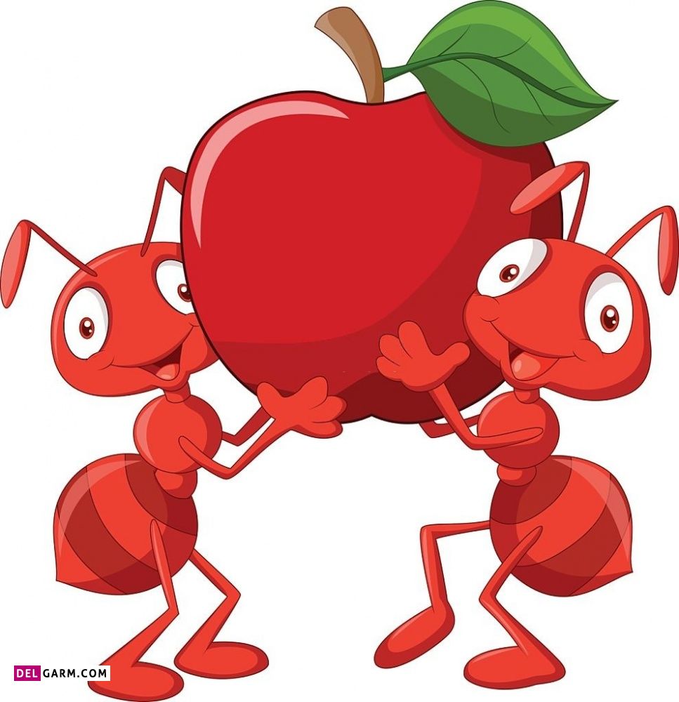 نقاشی مورچه / نقاشی و رنگ آمیزی مورچه