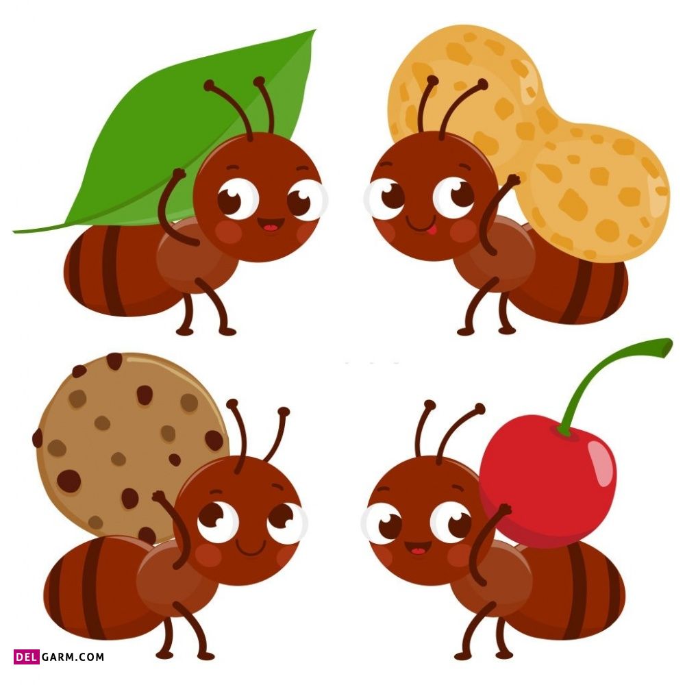 نقاشی مورچه / نقاشی و رنگ آمیزی مورچه