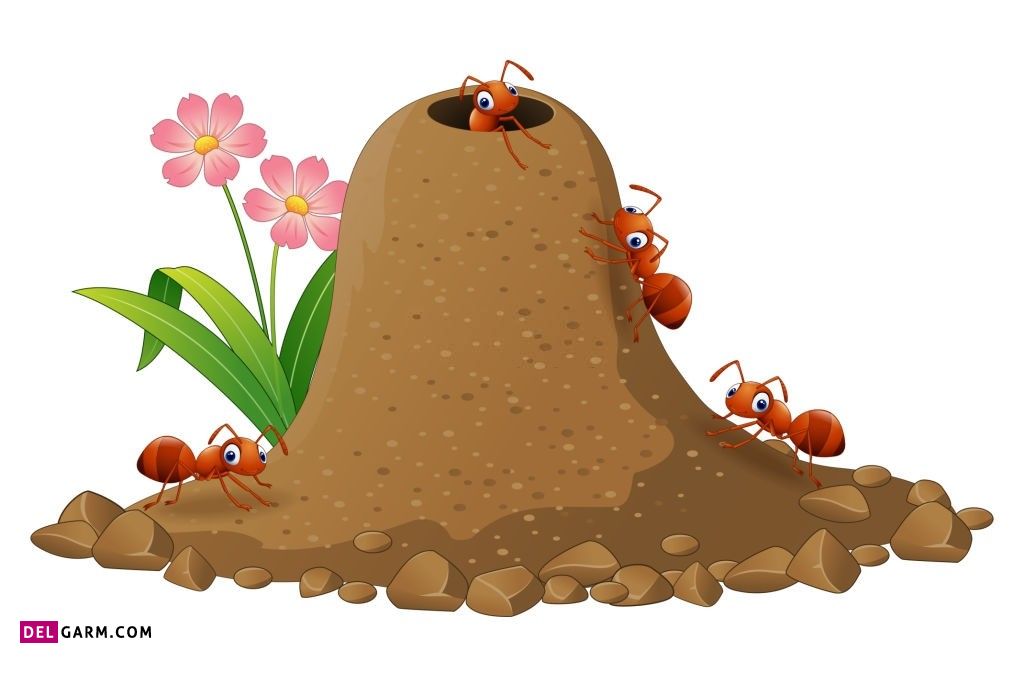 نقاشی مورچه / نقاشی و رنگ آمیزی مورچه