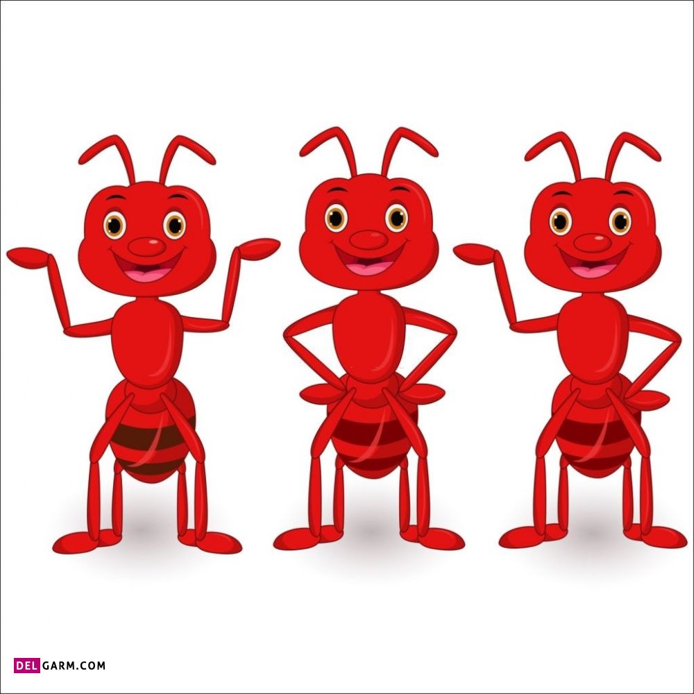 نقاشی مورچه / نقاشی و رنگ آمیزی مورچه