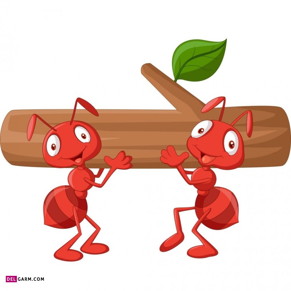 نقاشی مورچه / نقاشی و رنگ آمیزی مورچه