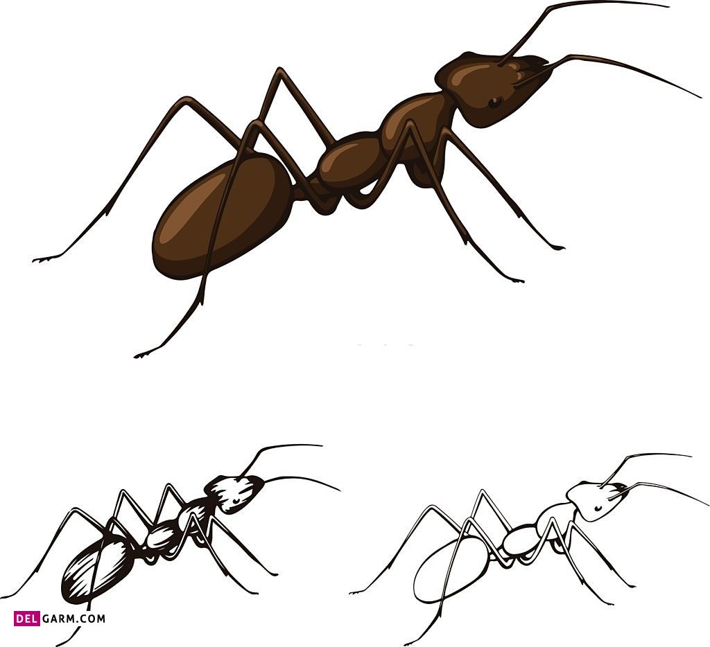 نقاشی مورچه / نقاشی و رنگ آمیزی مورچه