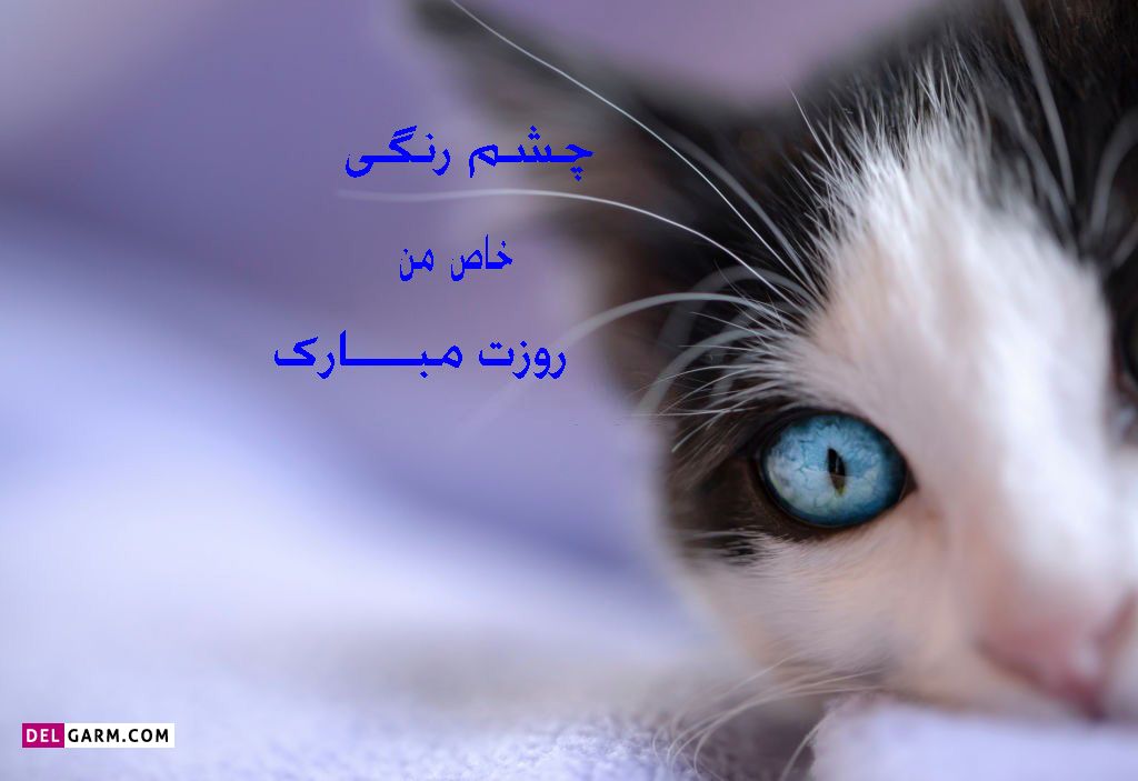 عکس روز چشم رنگی ها مبارک