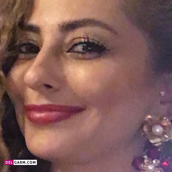 گوشواره های نفیسه روشن
