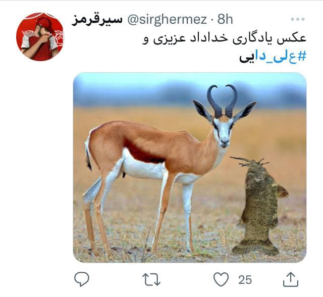 شوخی کاربران با ماهی علی دایی