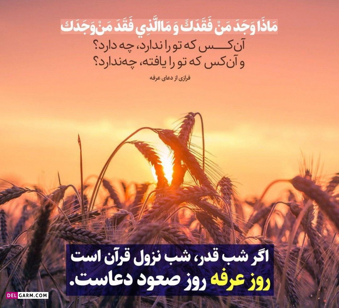 عکس روز عرفه