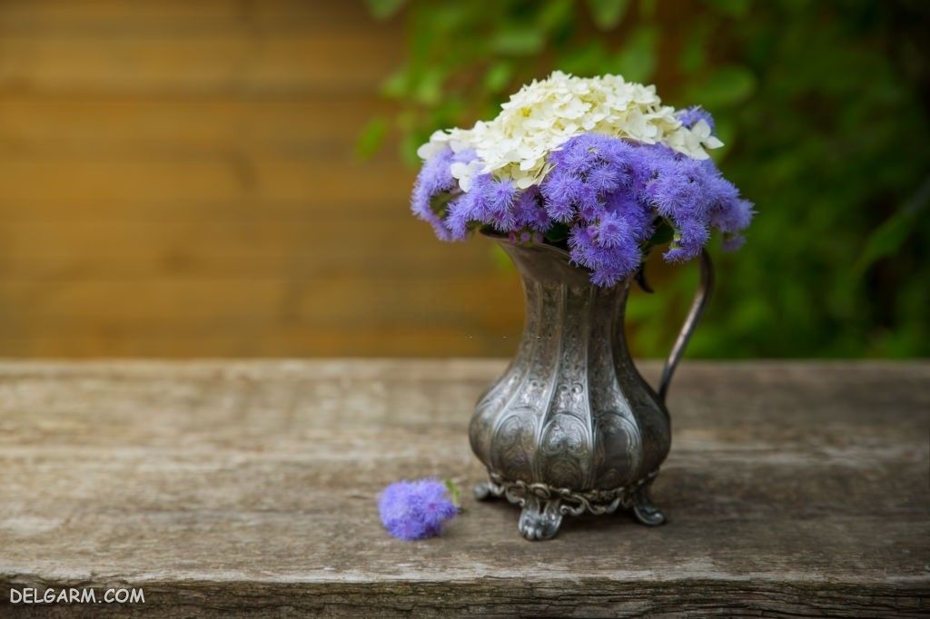 عکس گل ابری