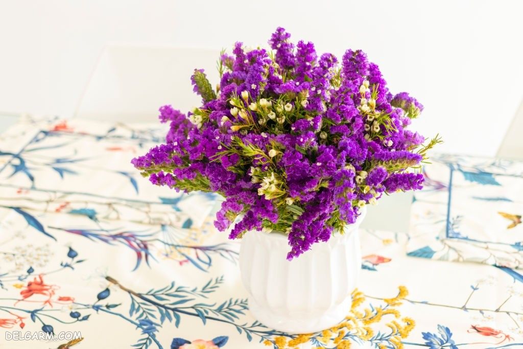 عکس گل استاتیس