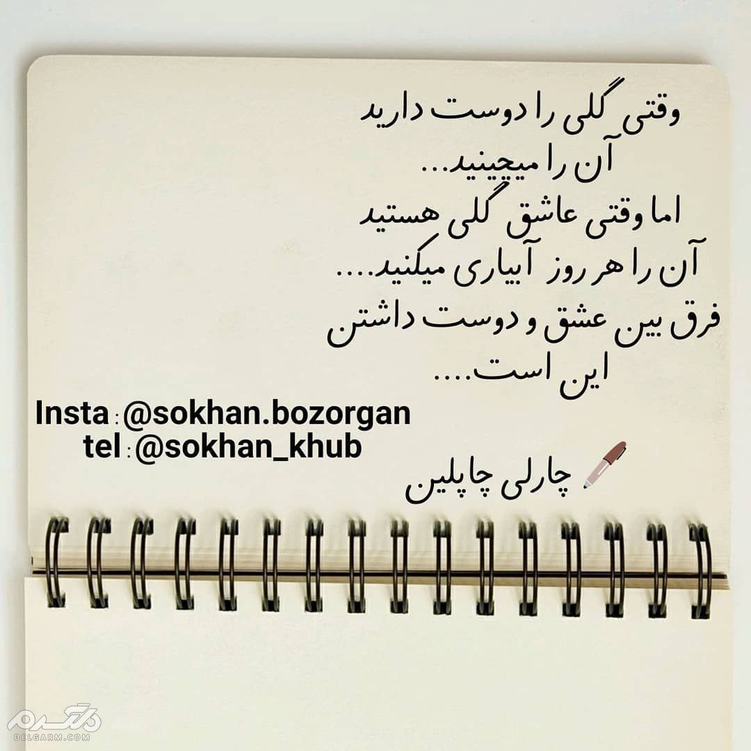 جملات ناب و جملات کوتاه معنی دار