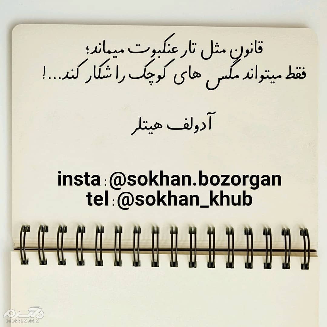 جملات ناب و جملات کوتاه معنی دار