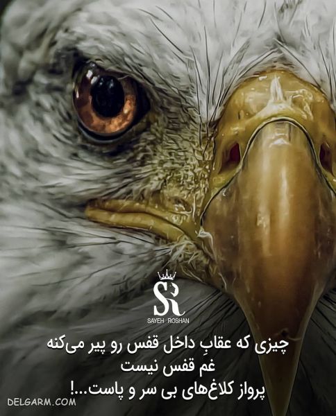 عکس نوشته های انگیزشی