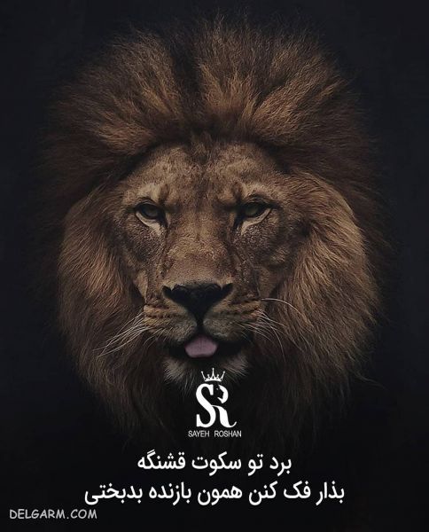 عکس نوشته های انگیزشی