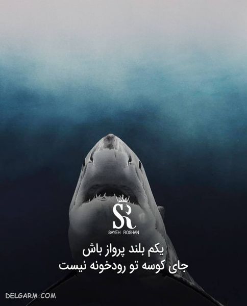 عکس نوشته های انگیزشی