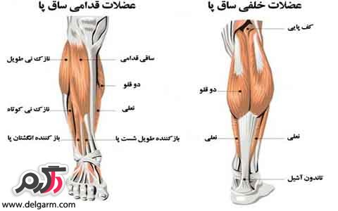  علائم و نشانه های گرفتگی عضلات ساق پا