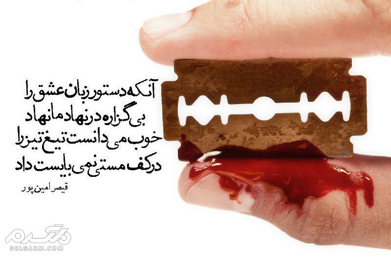 قیصر امین پور شاعر معاصر ایرانی