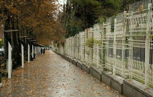 گالری زیبای عکس و عکس نوشته دلتنگی