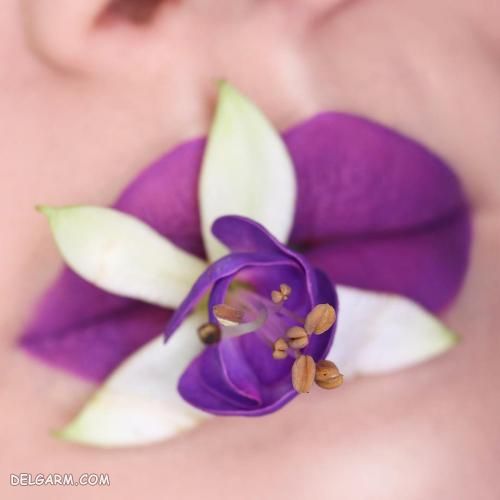 مدل رژلب دخترانه مجلسی