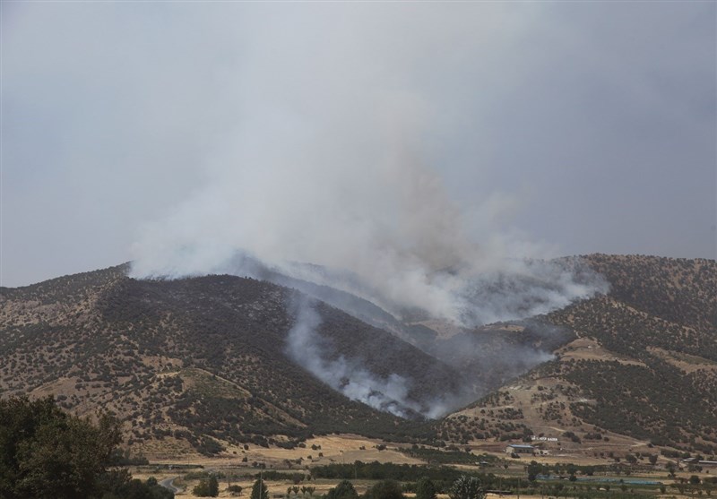 آتش سوزی جنگلهای مریوان، تصاویر کشته شده ها