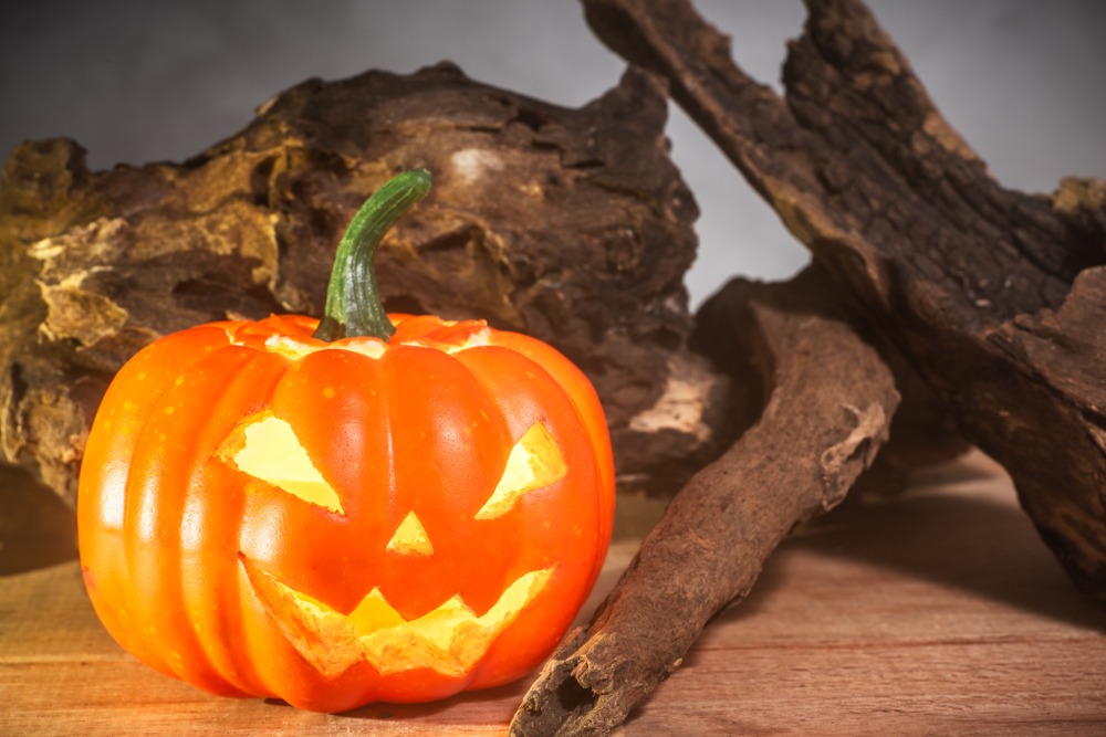 جشن هالووین ، تاریخچه ، رسوم هالووین ، فانوس هالووین ، کدوی هالووین