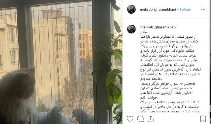گربه آزاری ، حیوان آزاری ، برادر شقایق دهقان