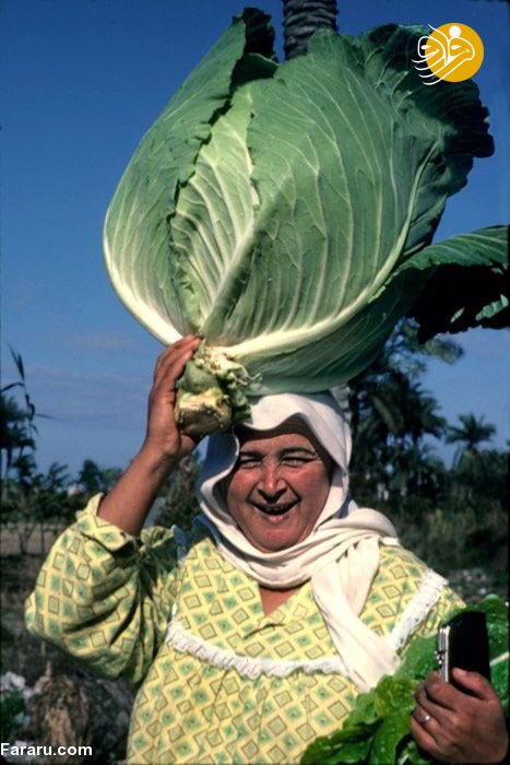 روستای زنان؛ ورود آقایان به این روستا ممنوع است!