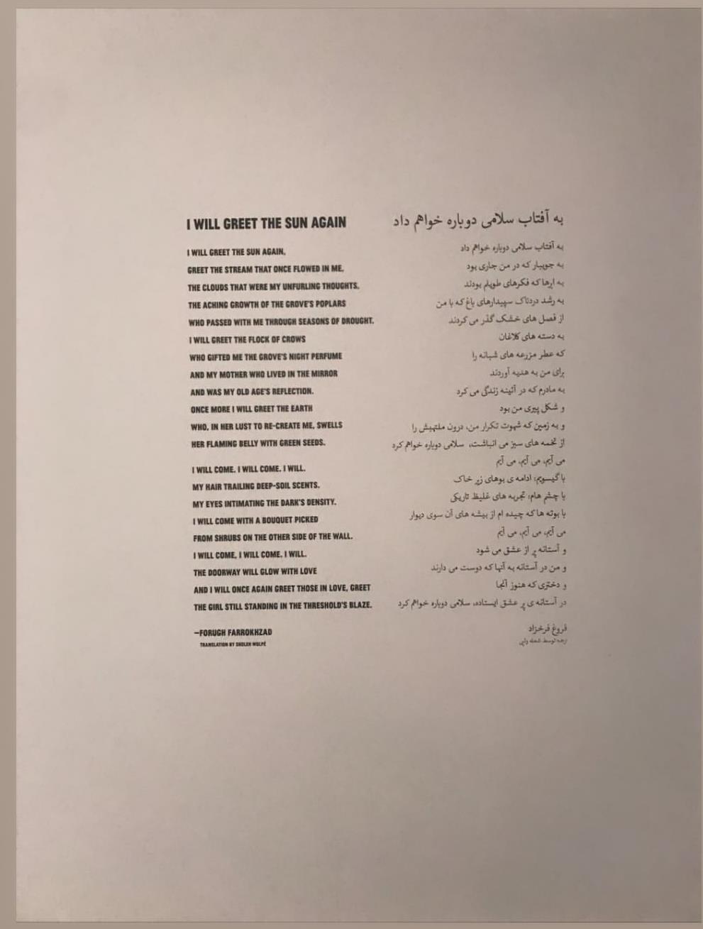 بازیگر هالیودی شعر فروغ فرخزاد را استوری کرد + عکس