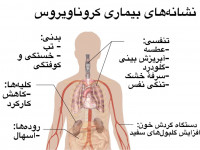 علائم و نشانه های کرونا به چه ترتیبی ظاهر می شوند ؟