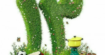 اس ام اس مخصوص سیزده بدر (8)