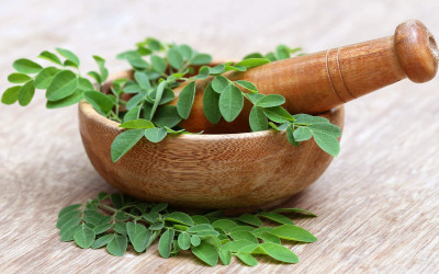خواص دارویی و درمانی گیاه مورینگا