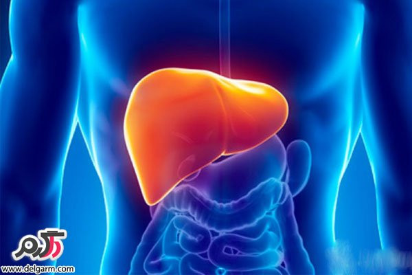 علت درد کبد چیست؟
