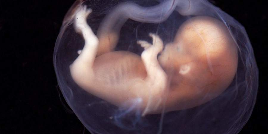  روند فریز تخمک و اسپرم برای حفظ باروری 