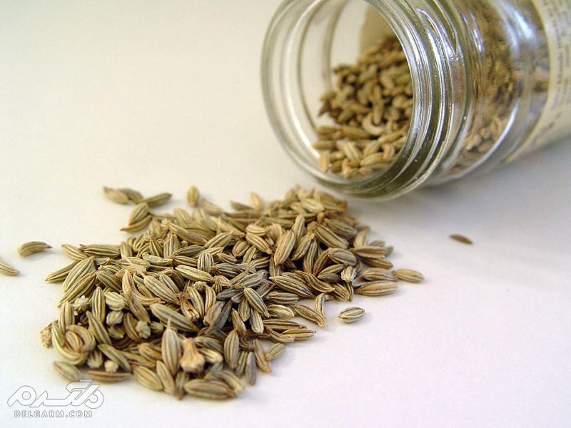 خواص روغن رازیانه
