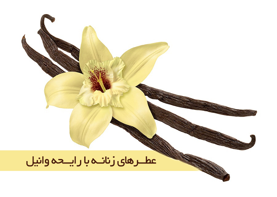 ۱۲ عطر زنانه با بوی وانیل از برندهای مختلف