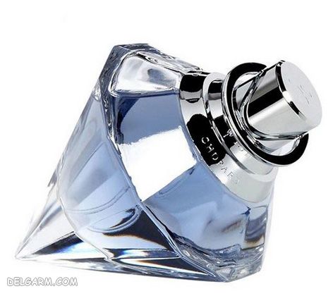۱۲ عطر زنانه با بوی نارگیل از برندهای مختلف