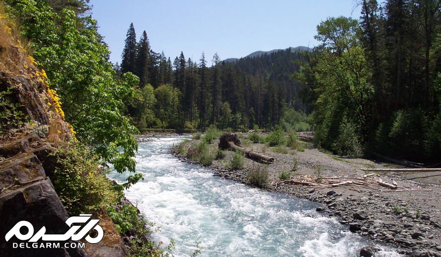 آبهای سطحی