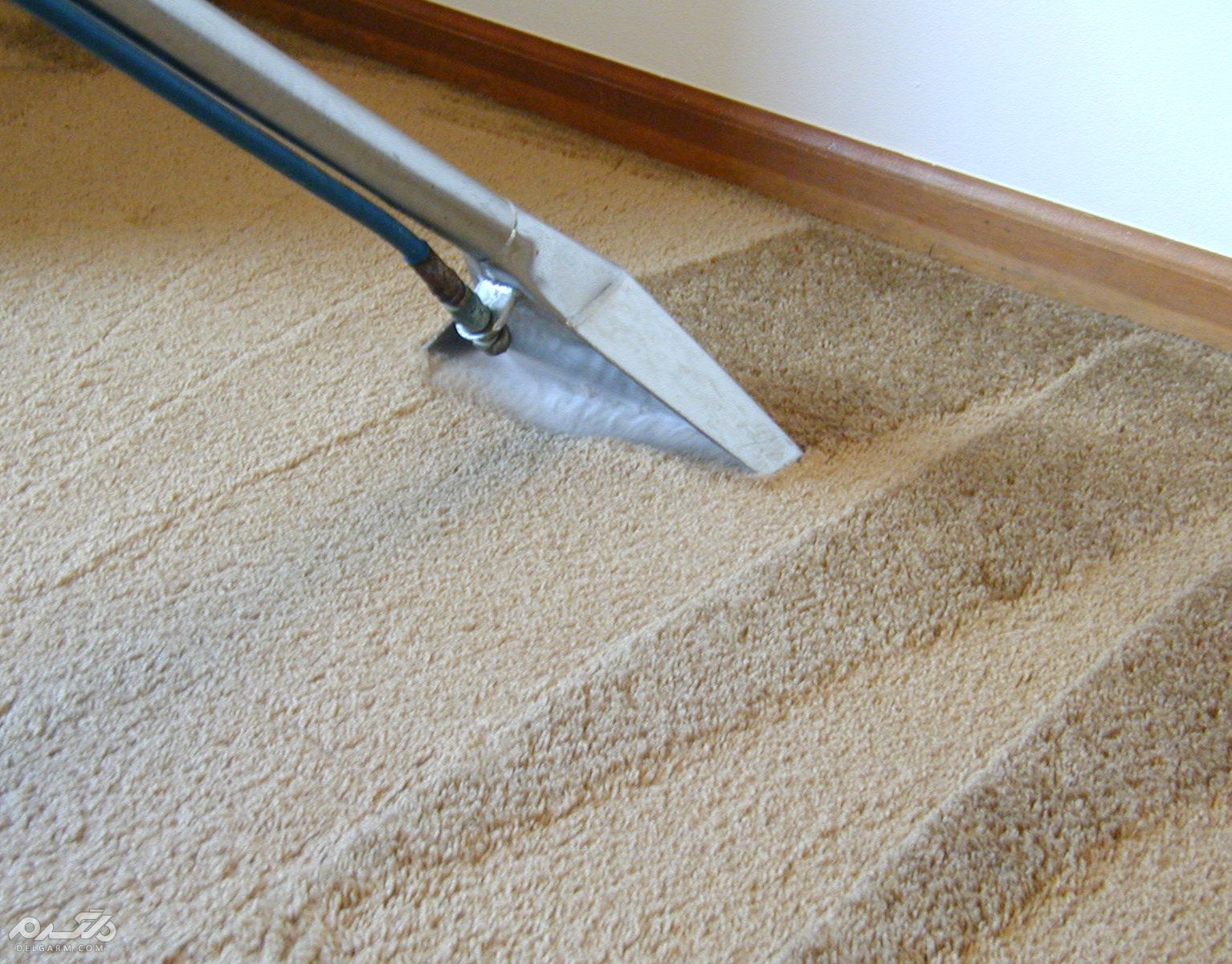 10 نکته مهم برای شستن فرش و موکت در منزل