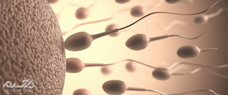  چه چیزی باعث افزایش غلظت منی می شود؟