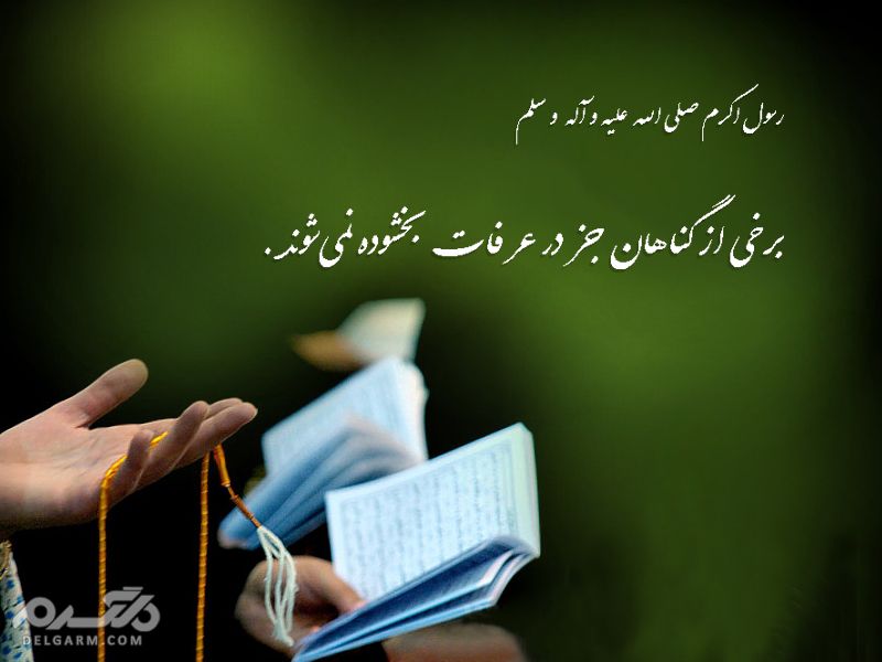 روز عرفه