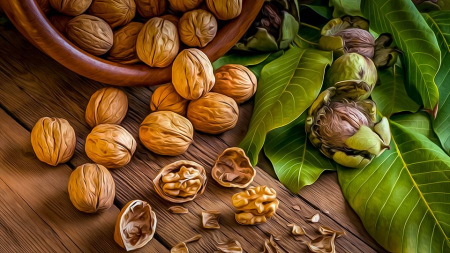 فواید بی نظیر پوست گردو که تا به حال نمیدانستید!