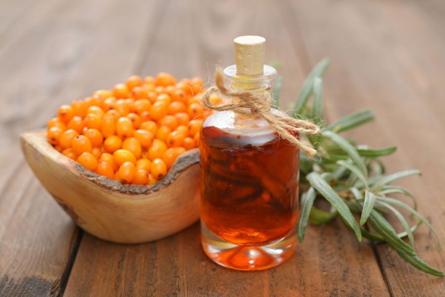 خواص گیاهی و دارویی روغن سنجد