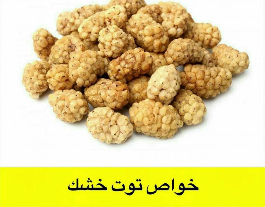خواص باور نکردنی «توت خشک» برای سلامتی