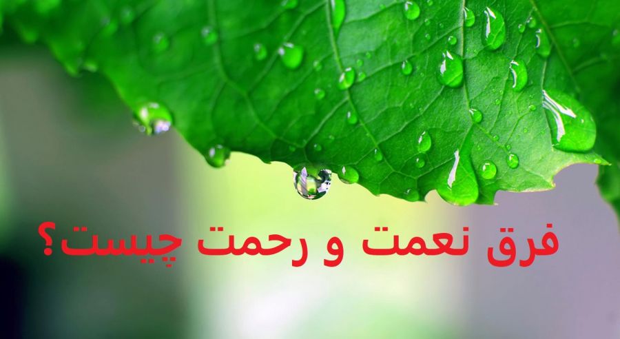 منظور از نعمت و رحمت خداوند كه در قرآن در آيههای متعددی آمده، چيست؟